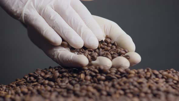 Closeup Roasted Coffee Grains in Hand alt