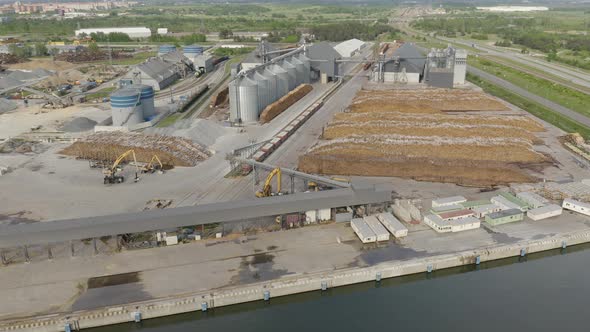 Timber Logs Cargo laying at Sea Port Warehouse alt