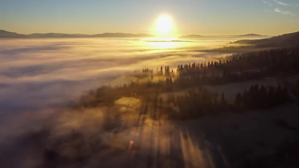 Stunning Aerial Landscape of Rising Sun Over the Forest Covered By Clouds