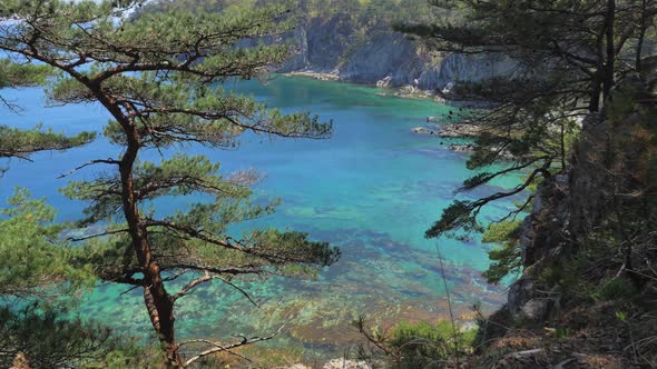 View From the Pine Grove on an Amazing Turquoise Sea in Marine Reserve alt