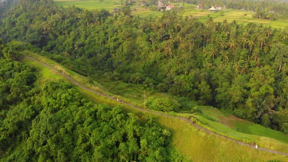 Aerial Shot of the Artists Walk - Campuhan Ridge Walk in the Ubud Village on the Bali Island alt