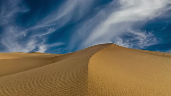Sunset Over the Sand Dunes in the Desert