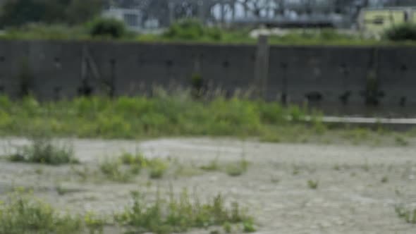 Serious young bearded male dancer in white sports shirt performing rhythmic movements during practic alt
