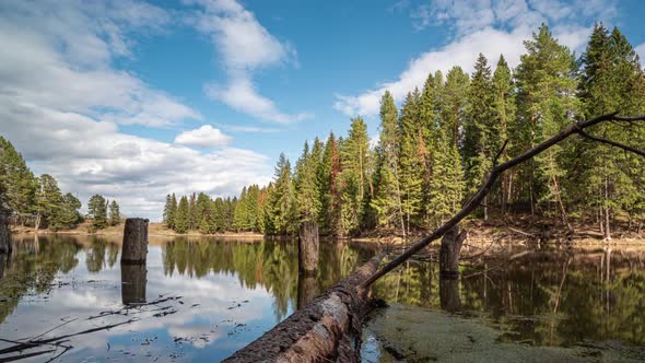Beautiful Spring Landscape on a Wild Forest Lake Time Lapse Camera Movement Hyperlapse