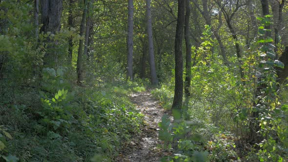Trail on Kraljevica park in Eastern Seriban city of Zajecar 4K 2160p UHD video - Autumn in city park