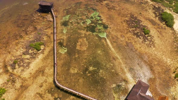 Top View on Wooden Bridge Pier and Viewpoint Cloud 9 Surf Point, Siargao Island, Philippines alt