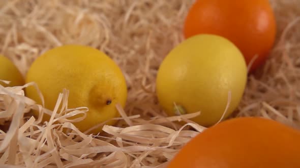 Falling oranges and lemons on the straw. Slow motion. alt