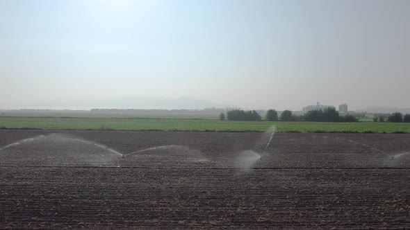 Irrigation of plant field view