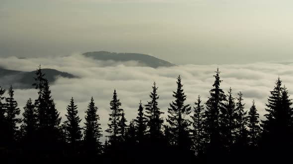 Time Lapse Fog Floating in Mountain Valley with Pine Forest Foreground alt