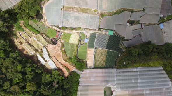 Cameron Highlands, Pahang Malaysia alt