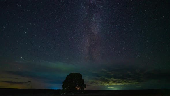 Astro Timelapse of an Pine Tree Silhouetted Against the Night Sky with the Milky Way Rising in the