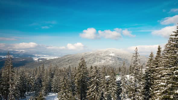 Beautiful Mountain Day, Cloudy Winter Fir-tree alt