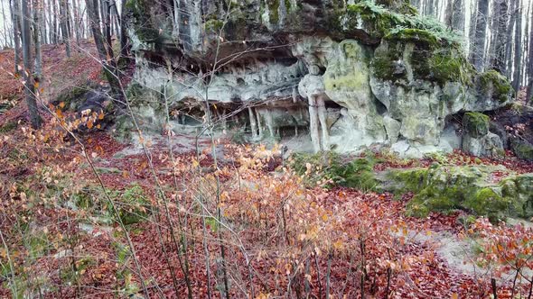 The Cave Grotto in the Forest