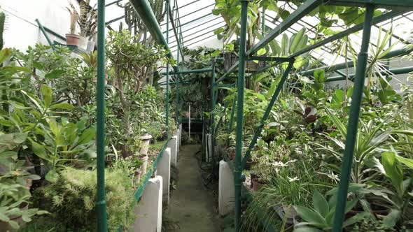 Greenhouse alt