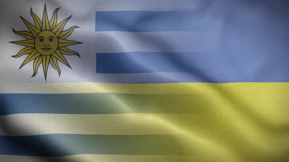 Ukraine Uruguay Flag Loop Background 4K