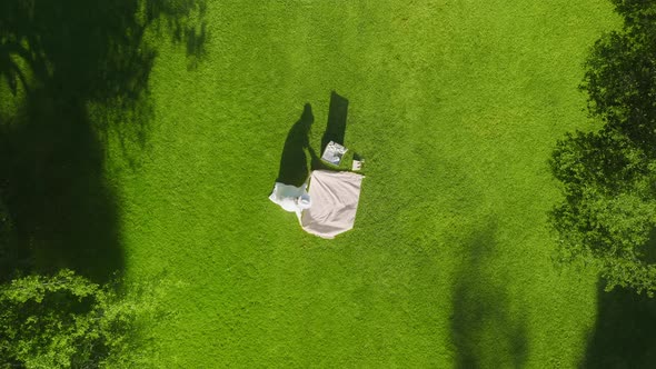 Aerial Woman in White Dress Spreading Out Picnic Blanket in Green Park Sunset alt