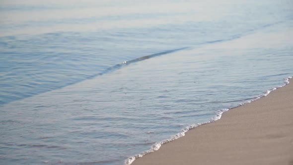 Female Feet Wear Sneakers Runs alt