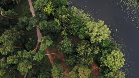 Aerial View of Drone Flying Over a Lake in Green Forest alt