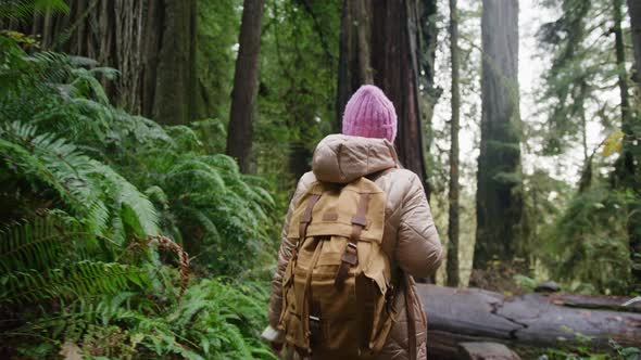 Slow Motion Woman with Backpack Exploring Green Forest with Tall Redwoods Trees alt