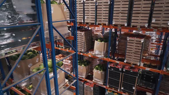 Shelves with Vegetables in Stock