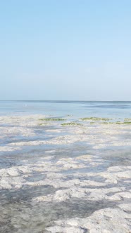 Vertical Video of Low Tide in the Ocean Near the Coast of Zanzibar Tanzania alt