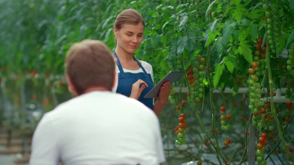 Agribusiness Workers Inspecting Plants Tablet in Greenhouse alt