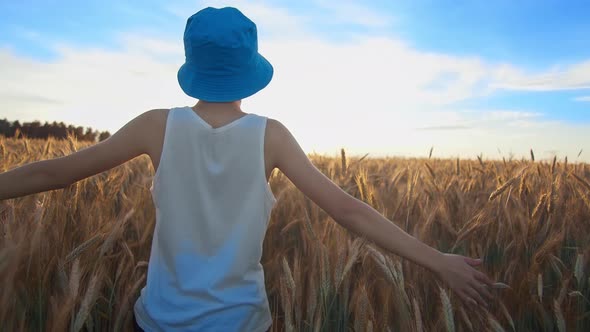 Boy in a Blue Hat Walks on a Wheat Field on a Sunny Day, Sun Rays