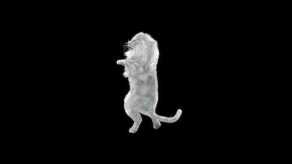 White Lion Dancing HD alt