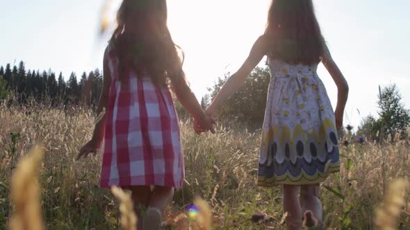 Two little girls walking through summer field