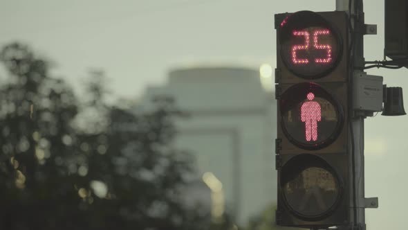 Traffic Light on the Road During the Day. Close-up. Kyiv. Ukraine alt