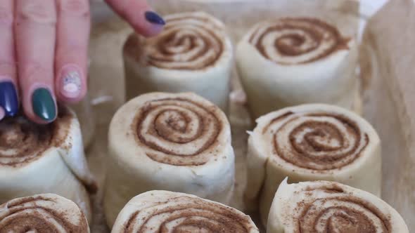 A Woman Straightens A Cinnamon Cut Dough For Baking Cinnabons. In A Baking Dish. Close Up Shot. alt