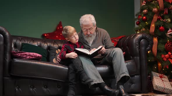 Grandfather Reads a Fairy Tale To His Grandson Before Bedtime alt