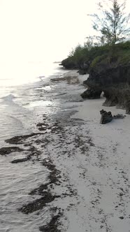 Vertical Video Empty Beach on Zanzibar Island Tanzania alt