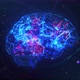 Intelligent Brain Neural Data - VideoHive Item for Sale