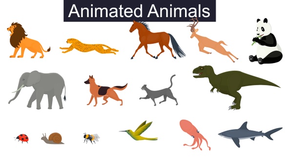 Set Of Animals