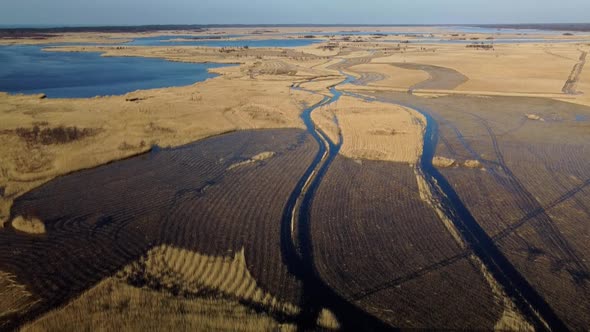 Aerial view of the lake overgrown with brown reeds, lake Pape nature park, Rucava, Latvia, sunny spr alt