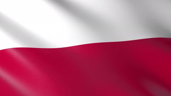 Flag of The Poland alt