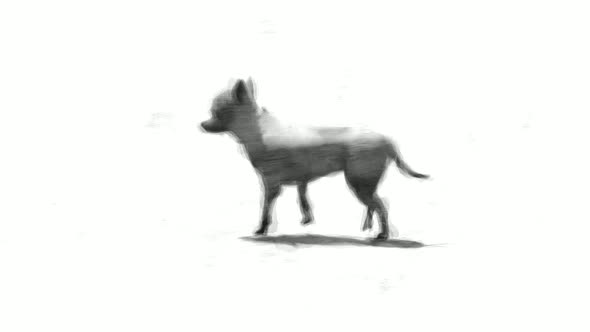Small Ornamental Dog Breed Walking Stop Motion