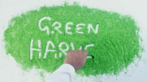 Indian Hand Writes On Green Harvest