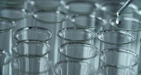 Working With Liquid In The Laboratory alt