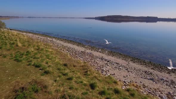 Camera Flying Low Over Some Seagulls Low Over A Small Island Wide Shot