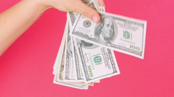Hand holds US Dollars money bills pink color background. Counting cash american 100 banknotes USD 4K alt