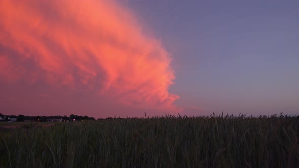 Colorful sunset from wheat field in Oklahoma after thunderstorm passes alt