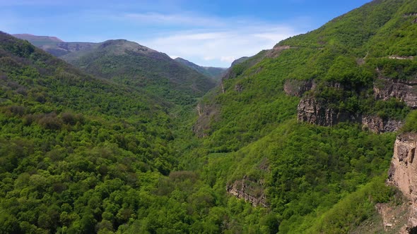Aerial Shot of Caucasian Mountains Covered with Trees in Summer
