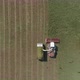 Top down aerial view of Combine harvesting and truck on wheat field. 17 - VideoHive Item for Sale