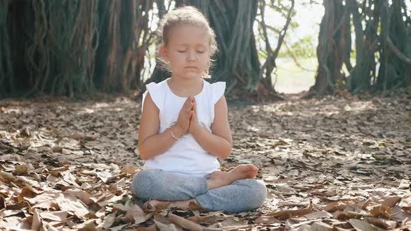 Little Child Girl Meditating Alone Under Banyan Tree alt