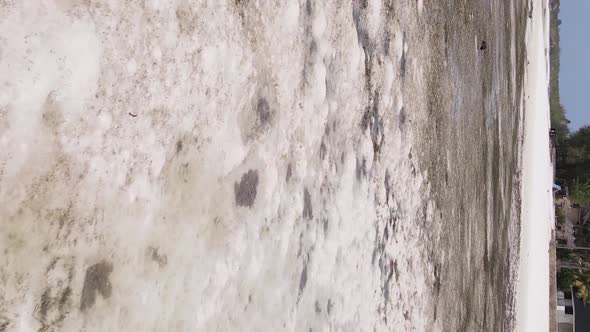 Zanzibar Tanzania  Vertical Video of Low Tide in the Ocean Near the Coast Slow Motion alt