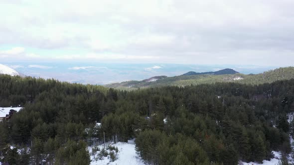 Winter View