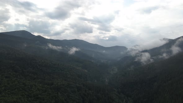 Flying over a valley covered by pine forest and low hanging clouds on a overcast day alt