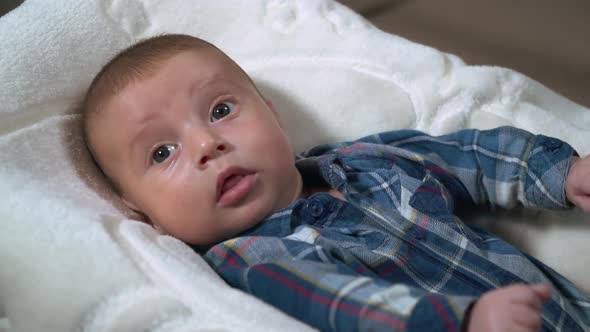 Little Baby Child alt